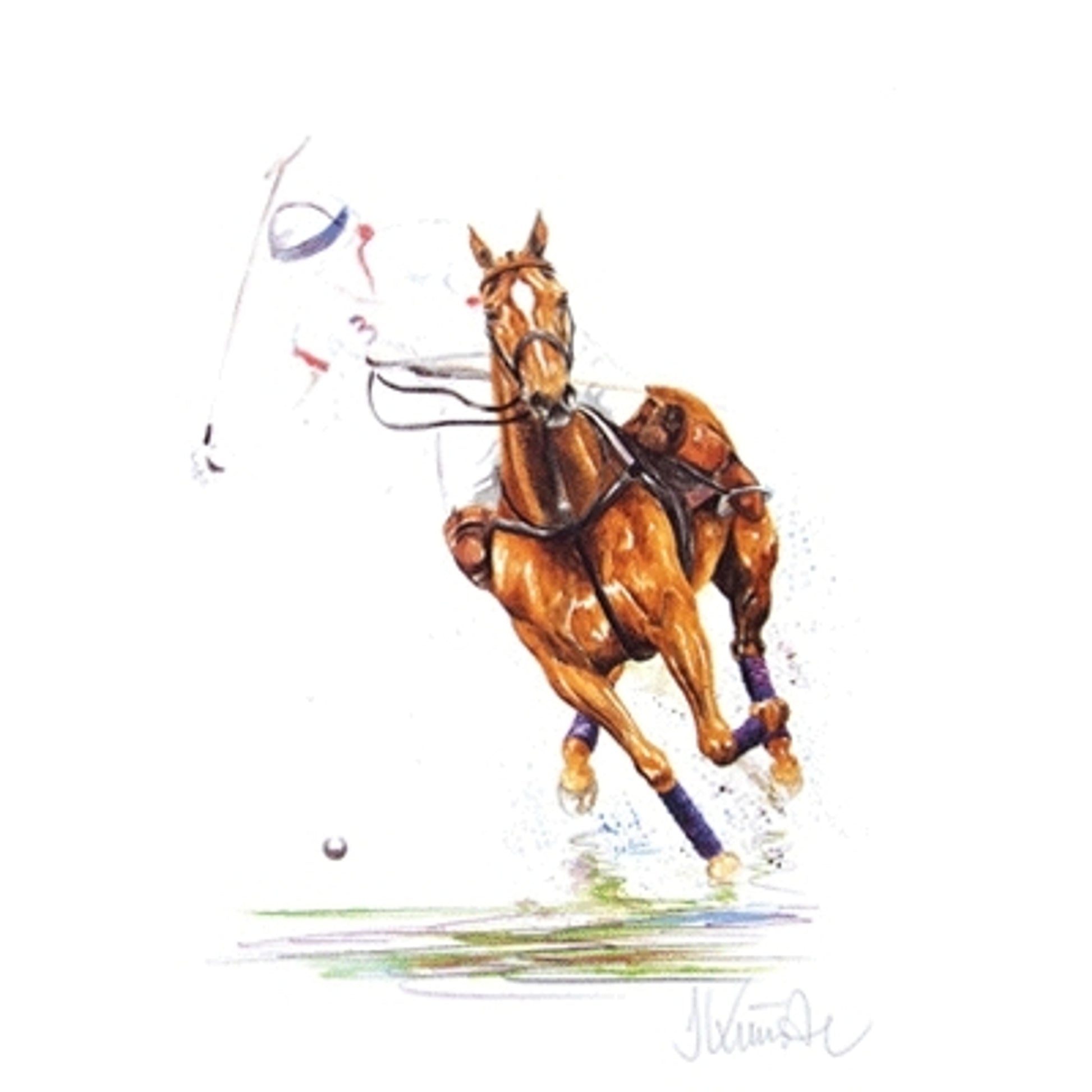 Jaipur (Polo) By: Jan Kunster
