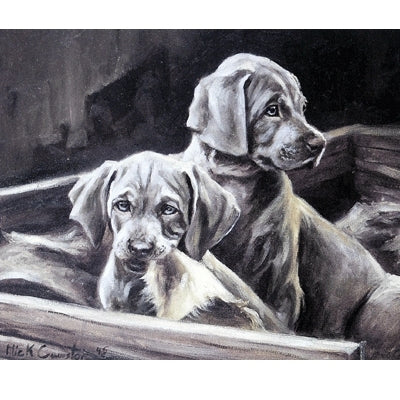 Thats Torn It By: Mick Cawston
