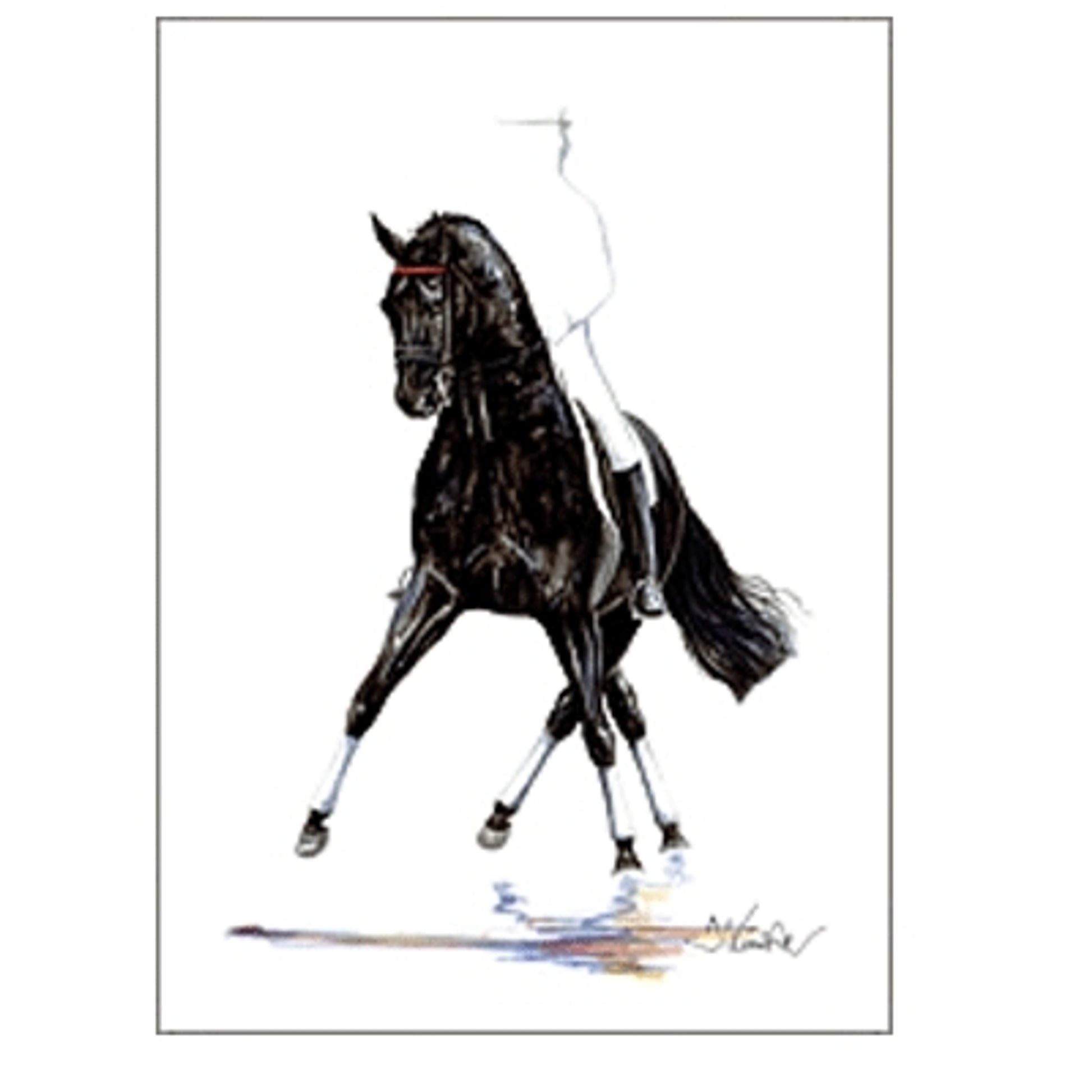 Noblesse (Dressage) By: Jan Kunster