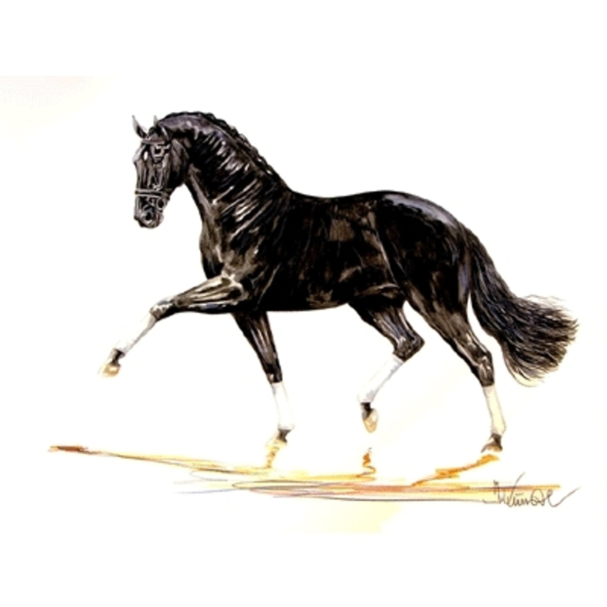 Bordeaux (Dressage) By: Jan Kunster