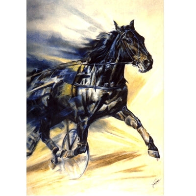 The Trotter Blank Greeting Cards - 6 Pack