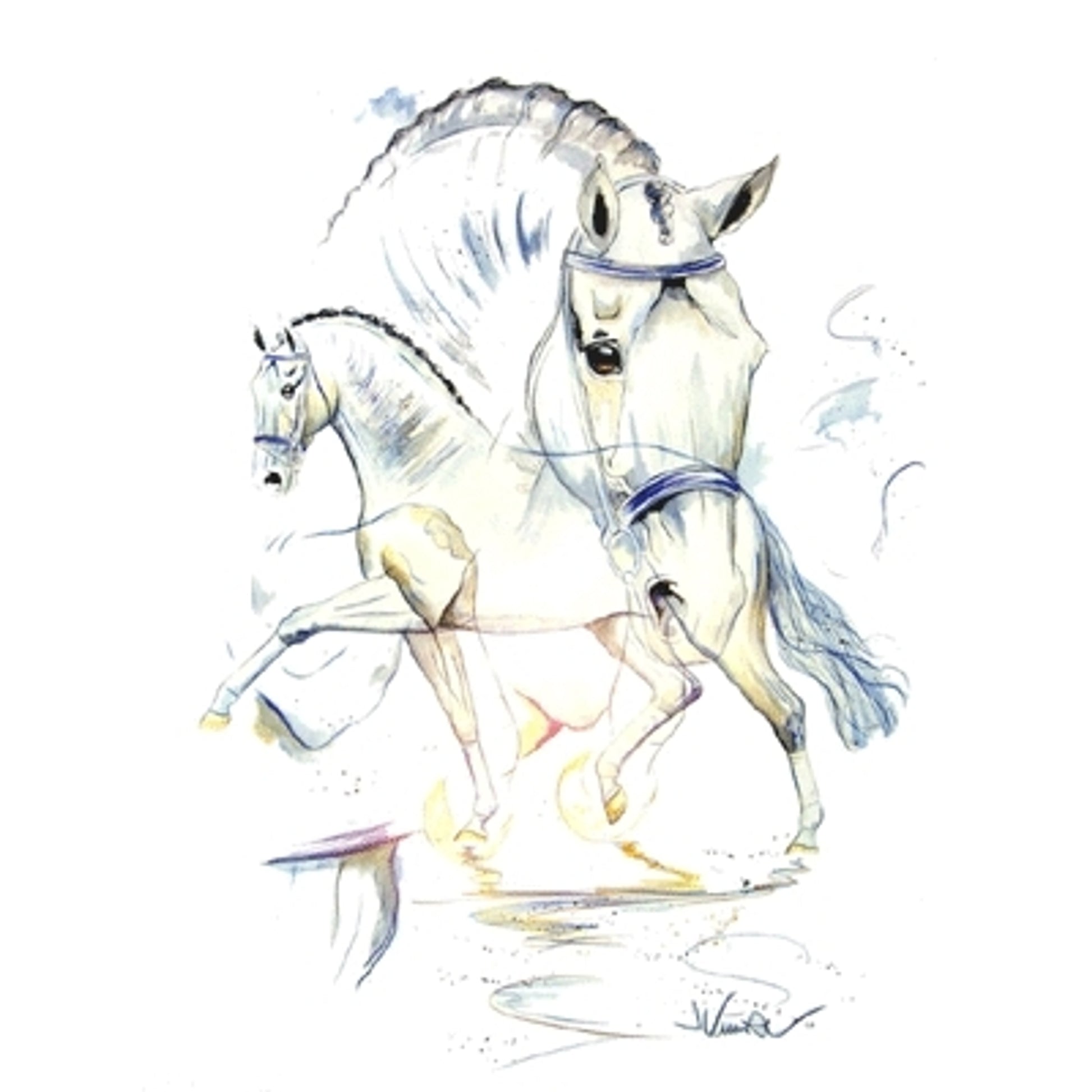 San Marino (Dressage) By: Jan Kunster