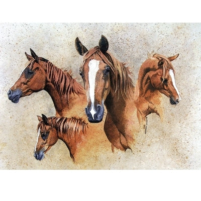 The Favourite Blank Greeting Cards - 6 Pack