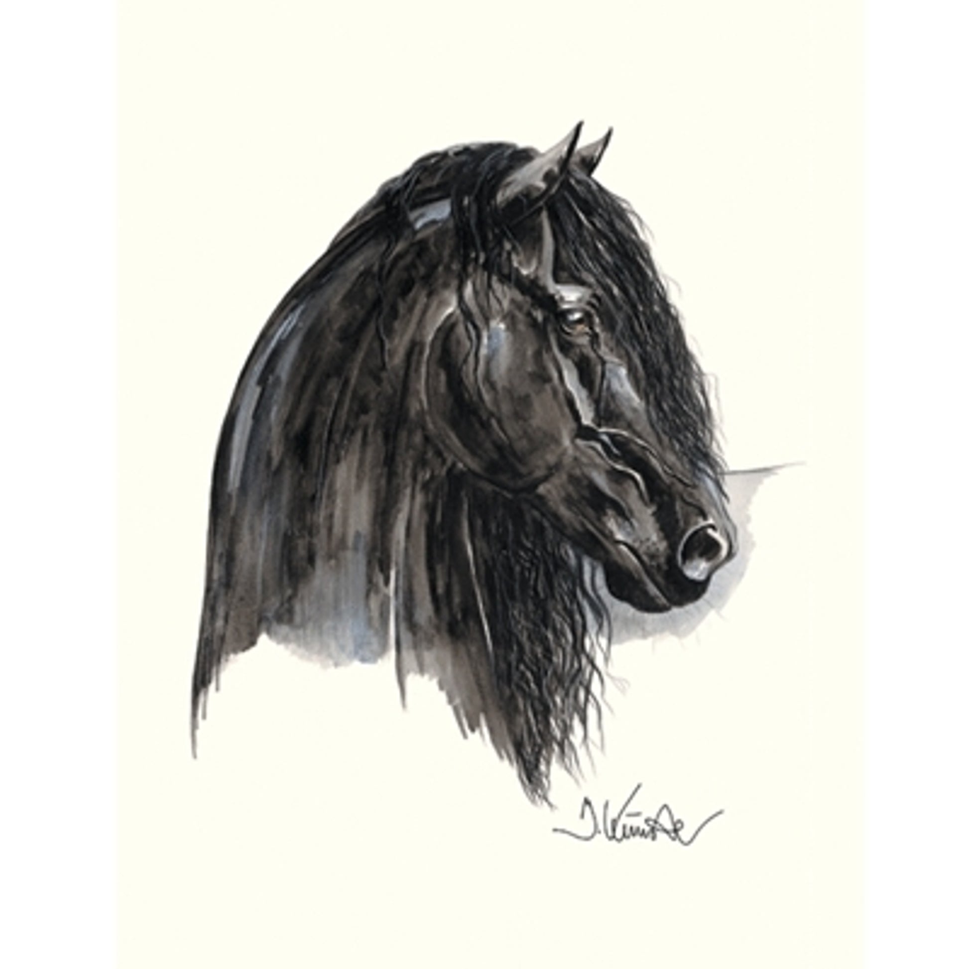 Johnny C (Friesian) By: Jan Kunster