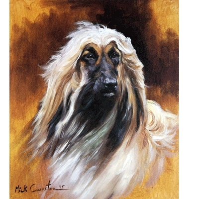 Afghan By: Mick Cawston