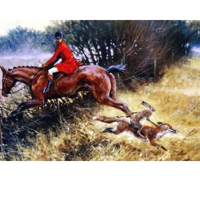 Double Take (Fox Hunting) Blank Greeting Cards - 6 Pack
