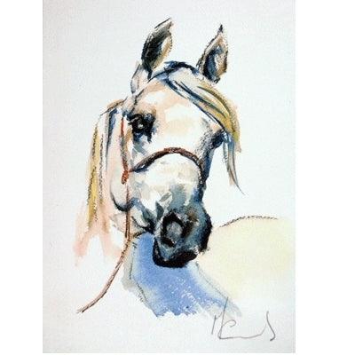 Head of a Lady (Arabian) Blank Greeting Cards - 6 Pack