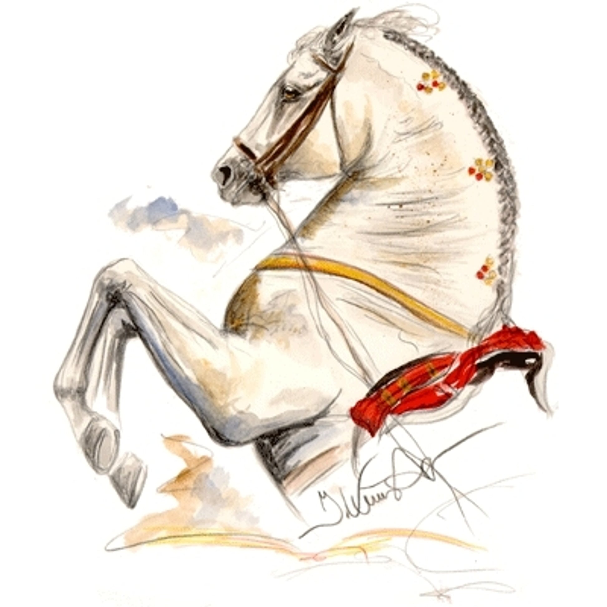 Ayamonte (Lipizzan) By Jan Kunster, Matted