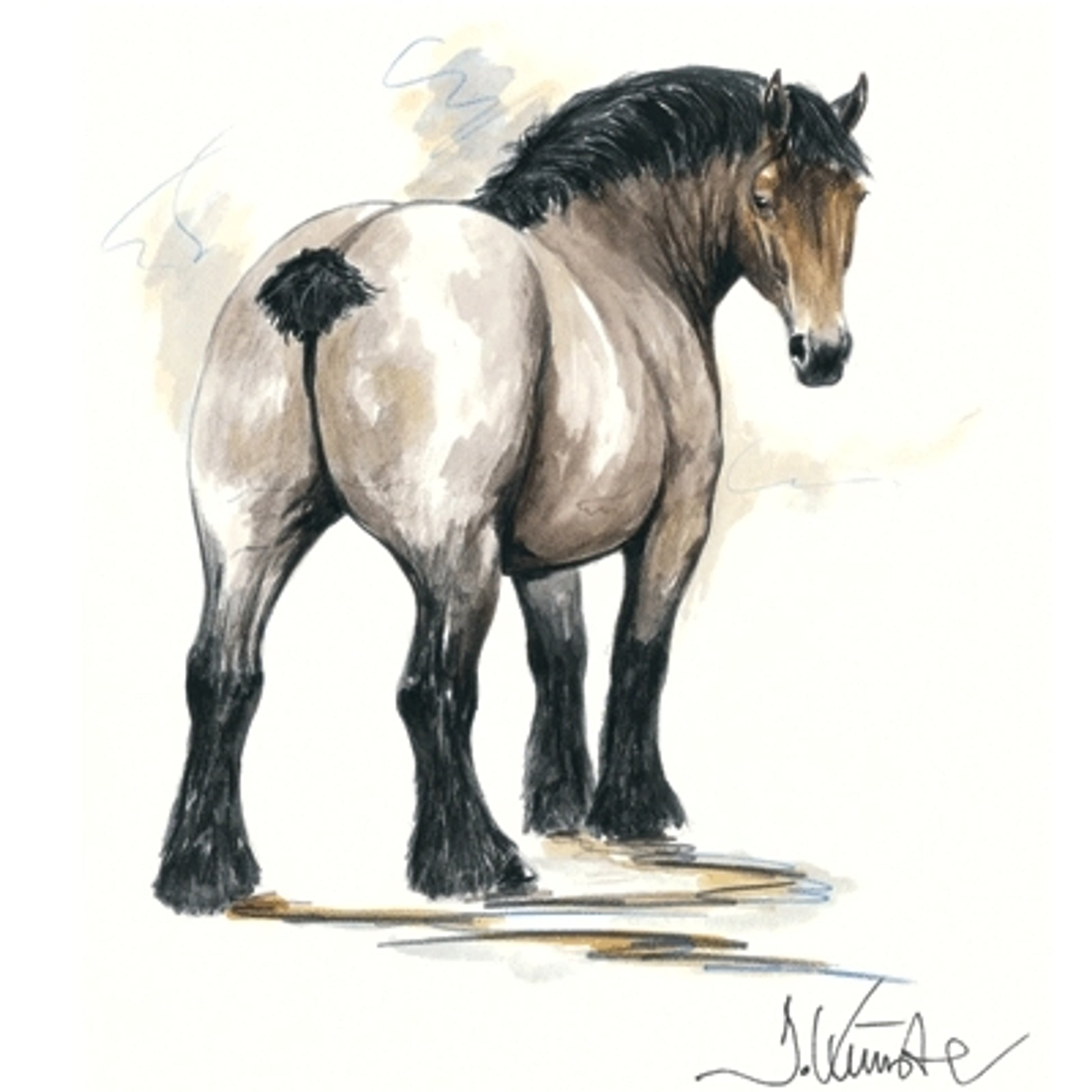 Chronos (Draft Horse) By: Jan Kunster, Matted