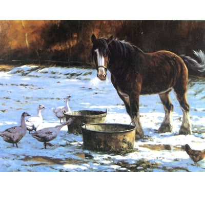 Christmas Lunch (Clydesdale) Blank Greeting Cards - 6 Pack