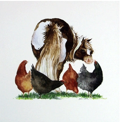 Pecking Order Blank Greeting Cards - 6 Pack