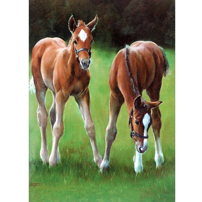Horses - Chestnuts Blank Greeting Cards - 6 Pack