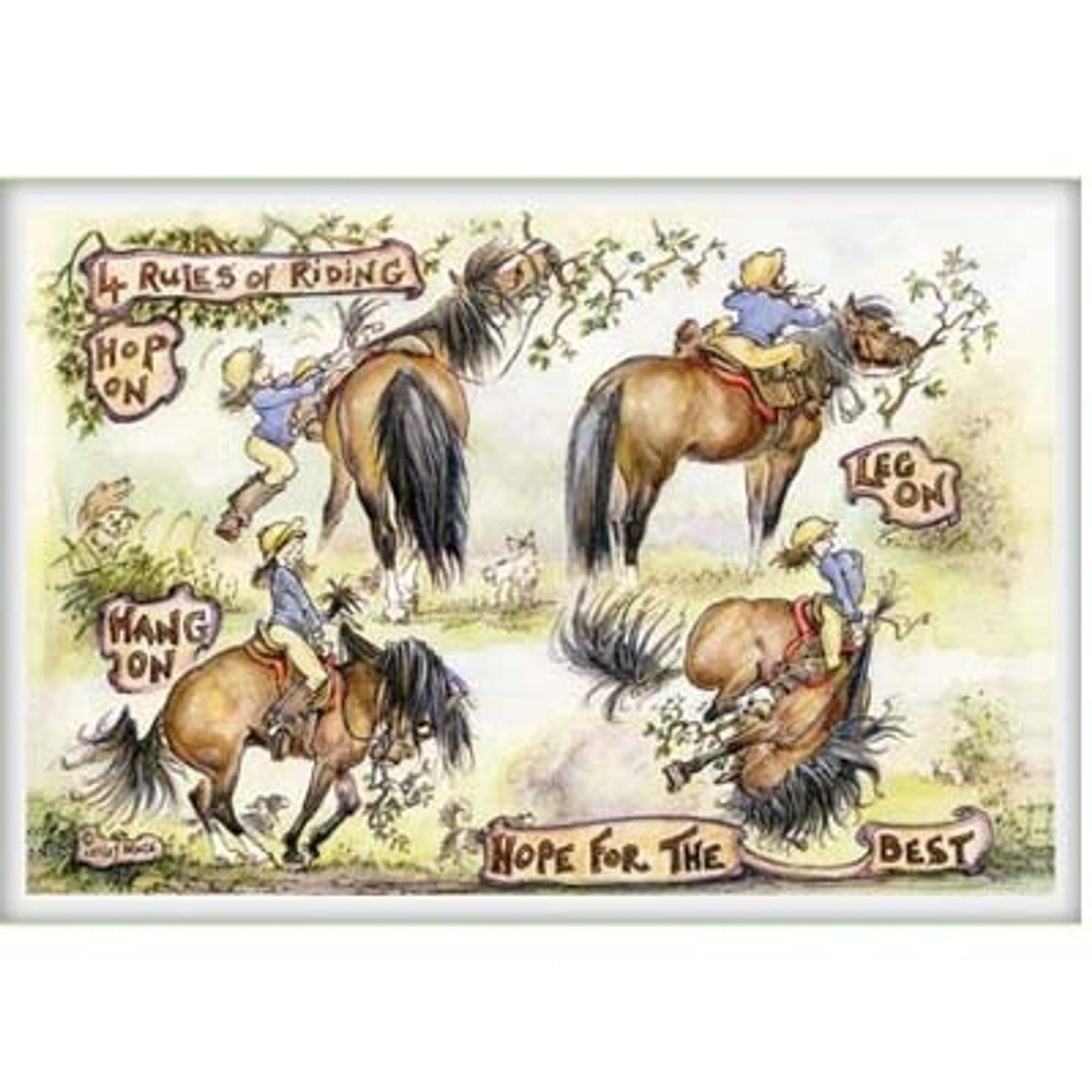 4 Rules of Riding - Pack of 6