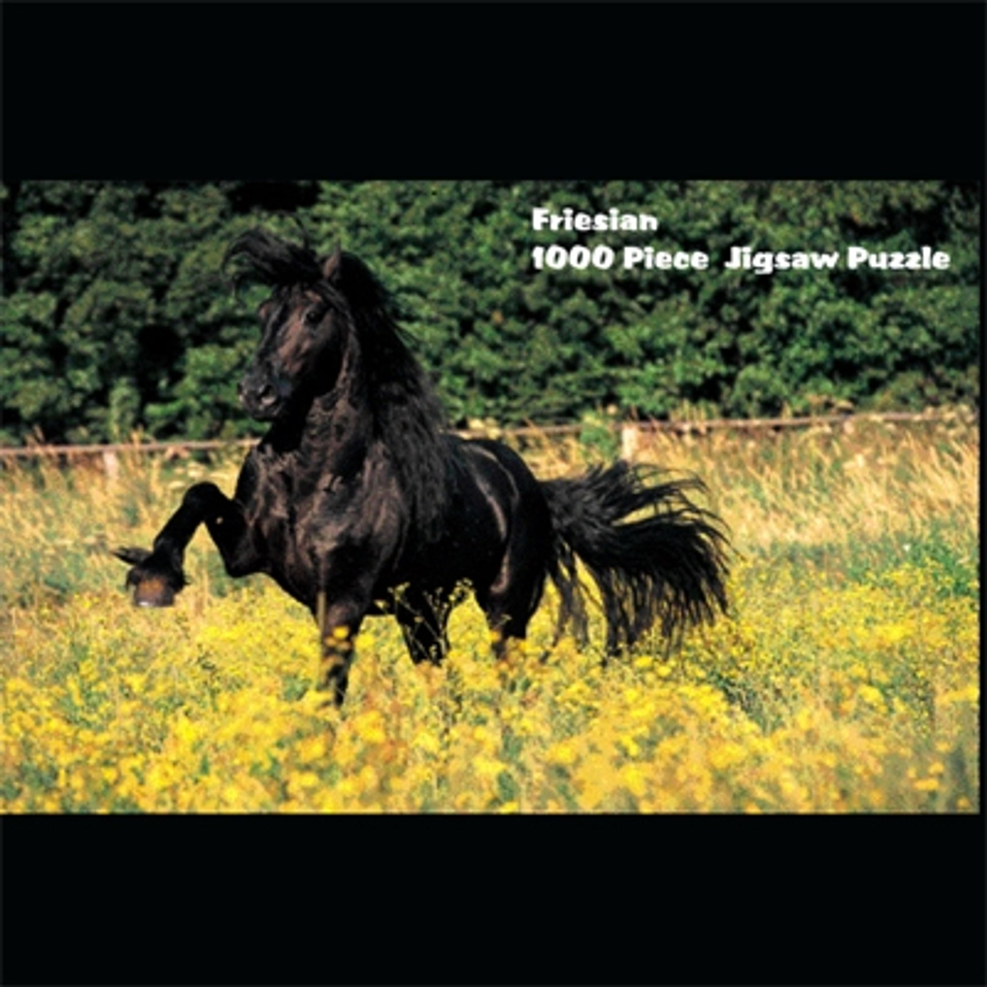Puzzle - Friesian
