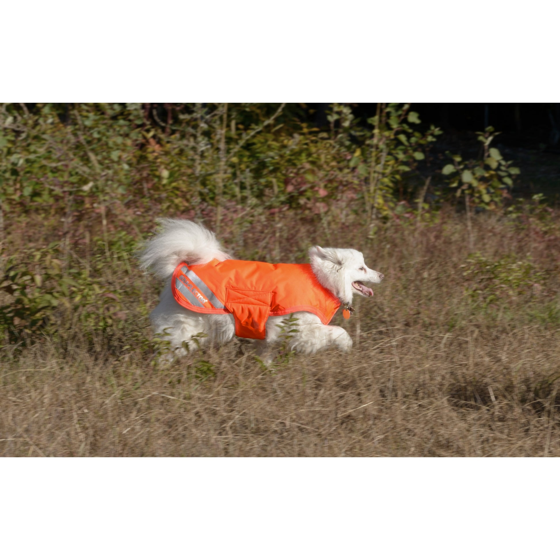 Shires Waterproof Dog Coat