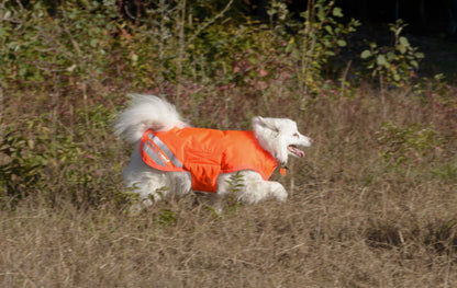 Shires Waterproof Dog Coat