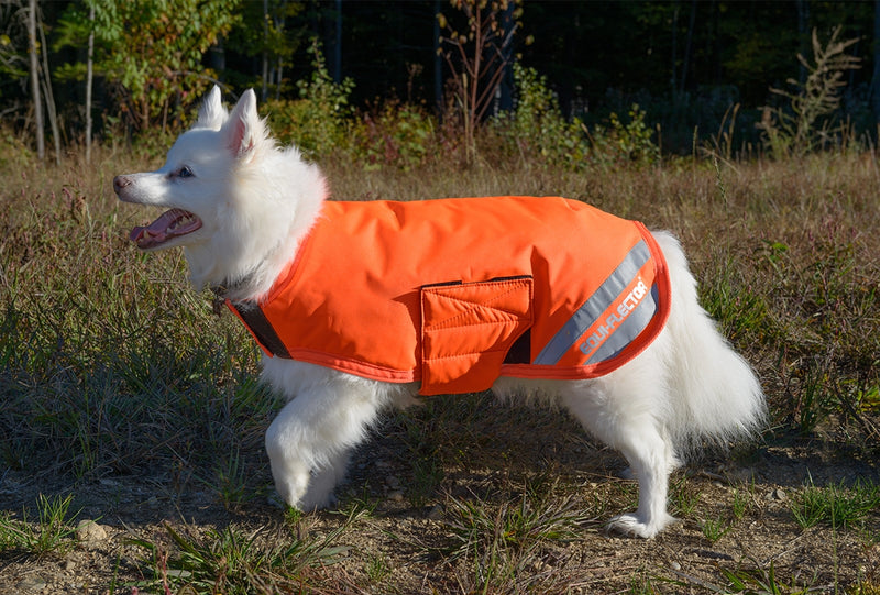 Shires Waterproof Dog Coat