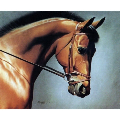 Horses - Ready to Dance - 6 Pack
