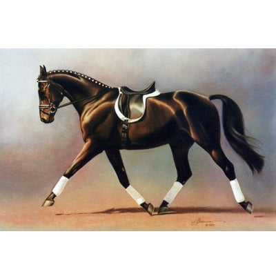Horses - I''ve Got Rythym - 6 Pack