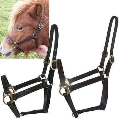 Miniature Horse Leather Halter
