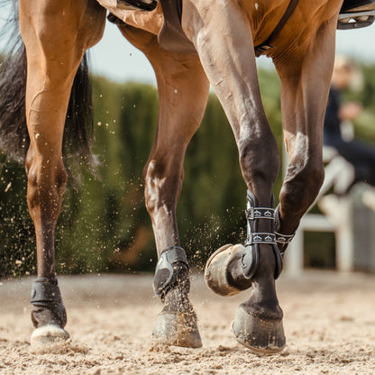 Veredus Carbon Gel Vento Rear Fetlock Boots