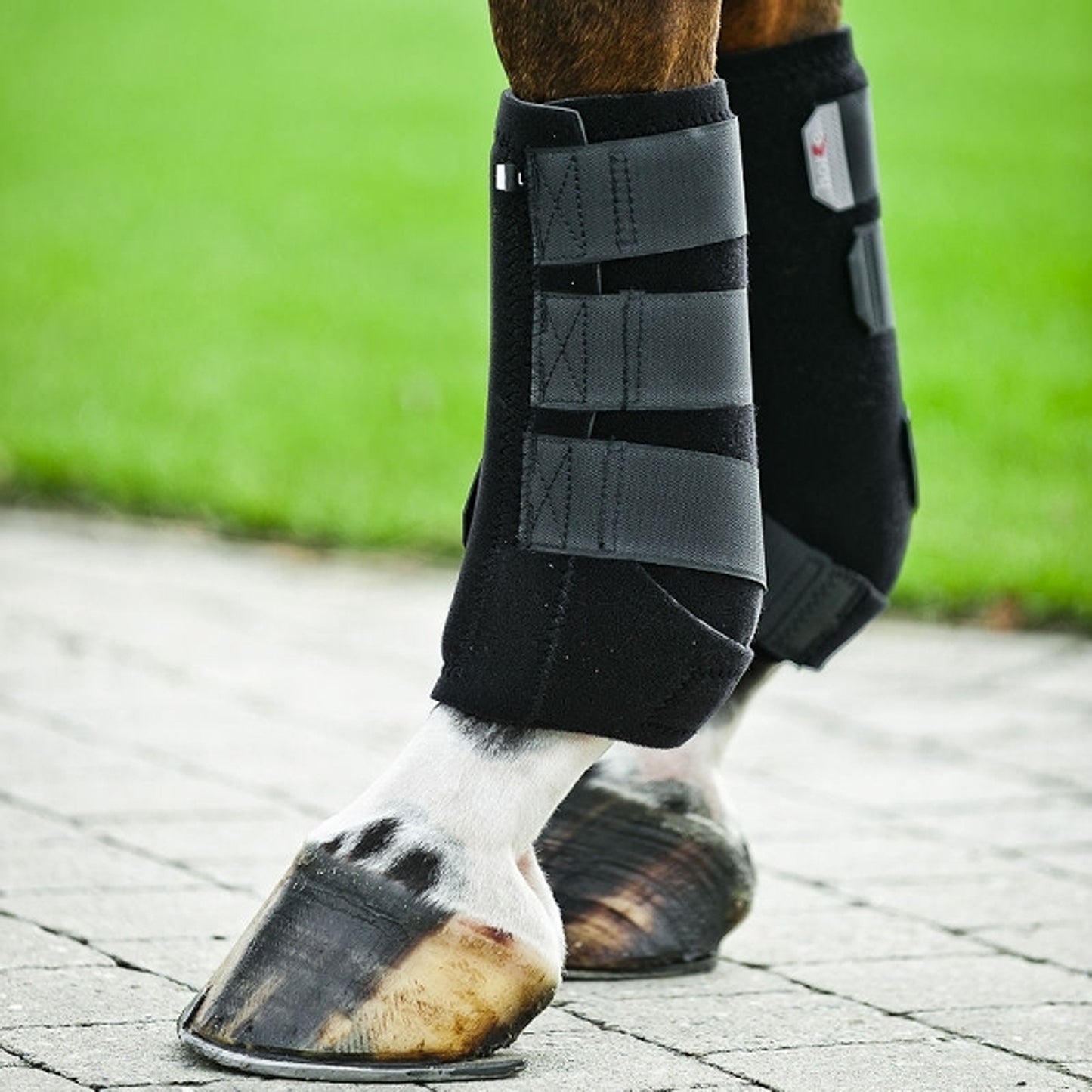 5-595241.jpg