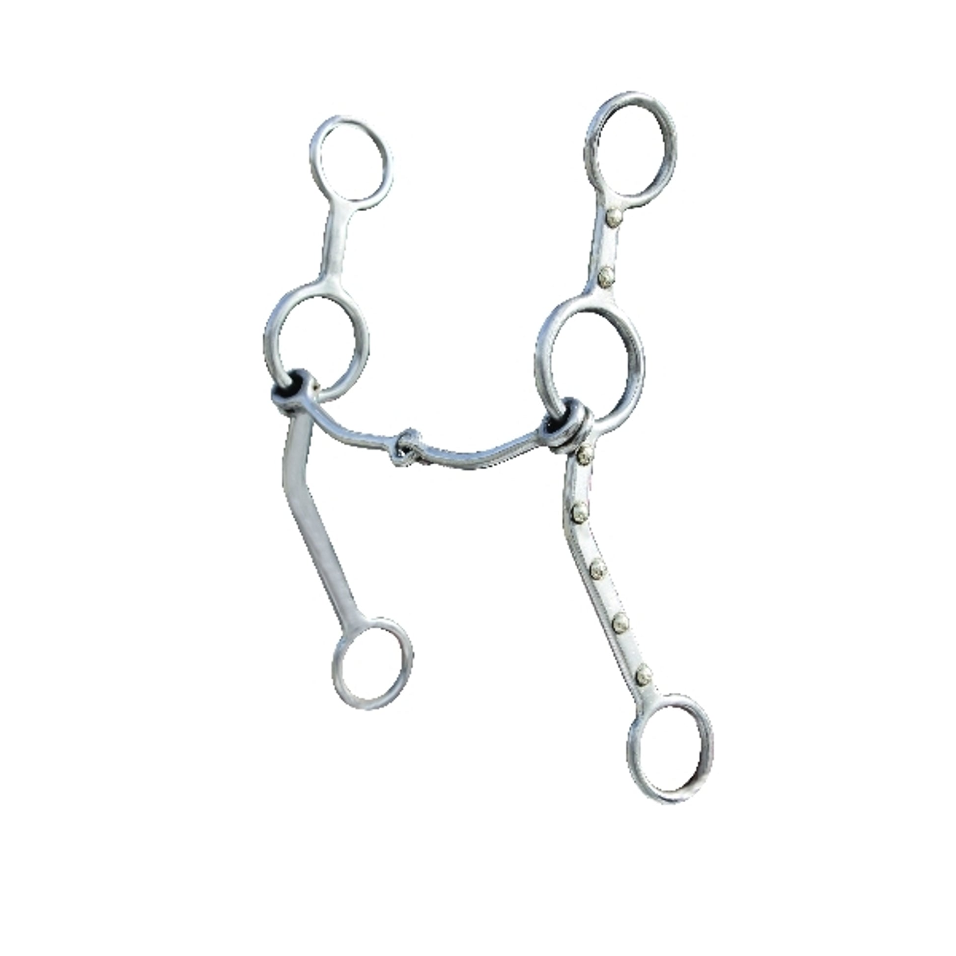 Bob Avila Heroes - Ted Robinson Long Lift Snaffle Bit