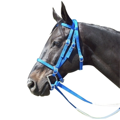 Racing Bridle - Nylon