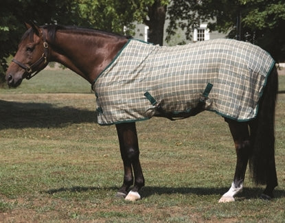 High Spirit Plaid Day Sheet
