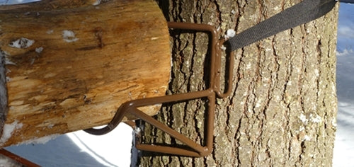 Timber Ties Field Jumps Cam Strap