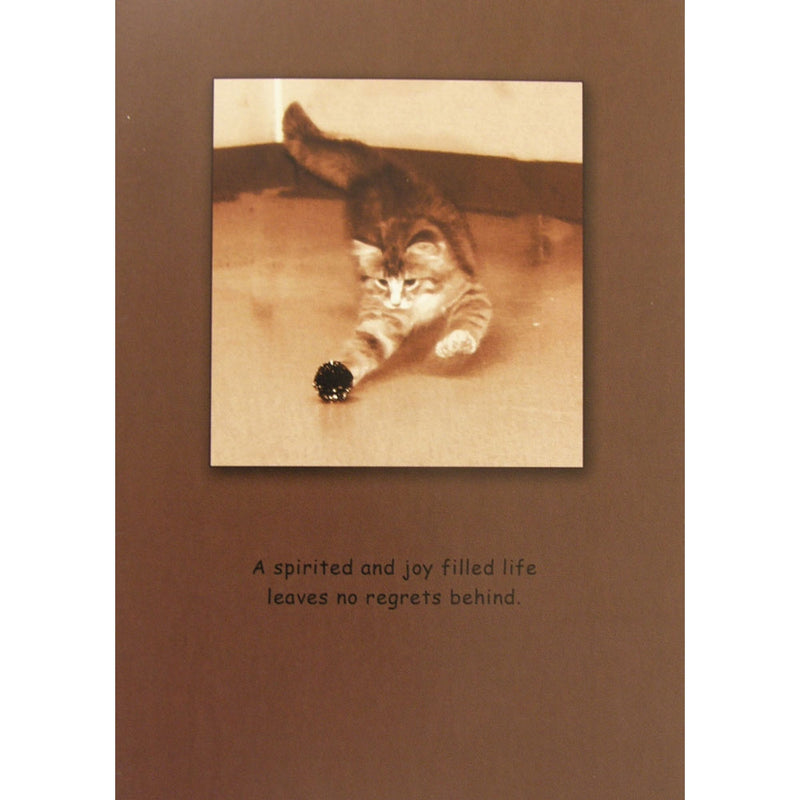 Sympathy (Cat) A Spirited & Joy Filled Life. Blank Greeting Cards - 6 Pack