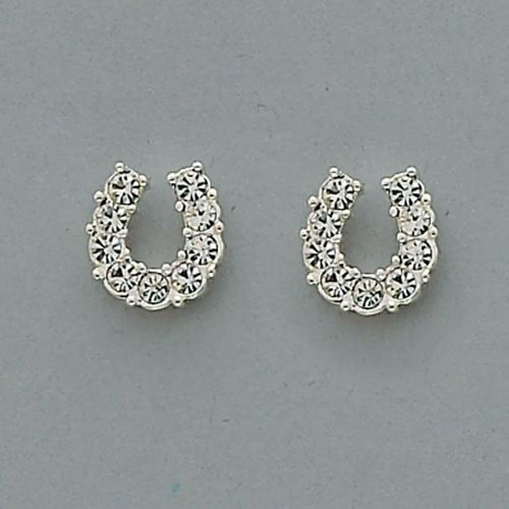 Sparkly Horsehoe Earrings