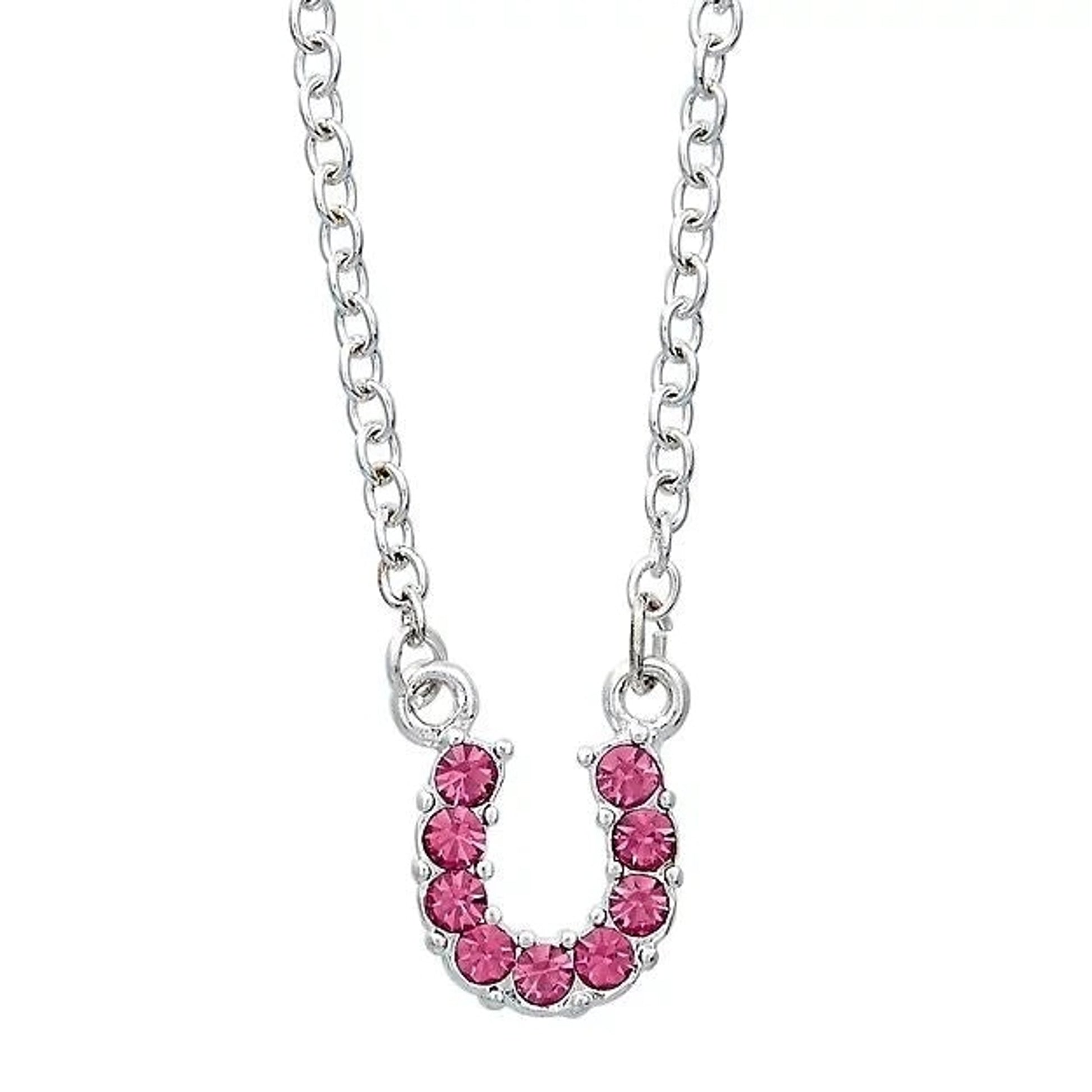 AWST Int'l Rhinestone Horseshoe Necklace with Horse Head Gift Box