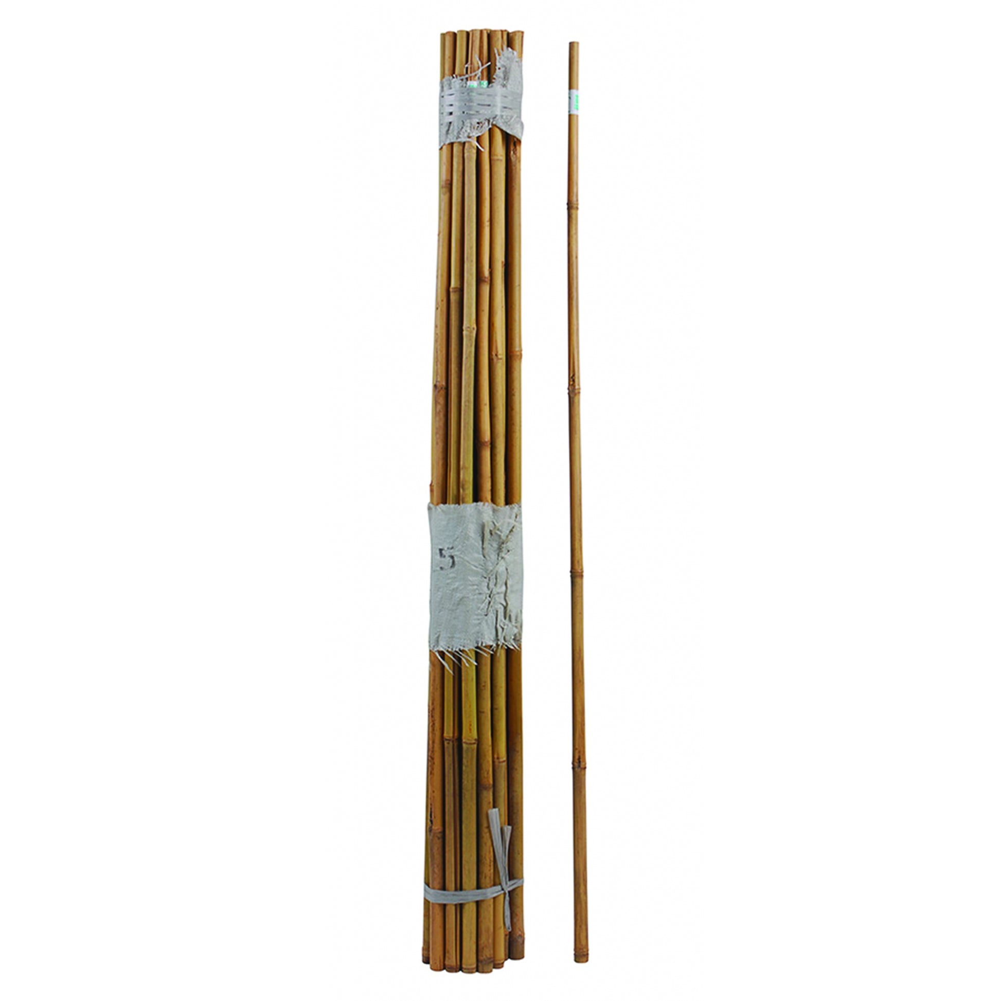 Super Bamboo Pole