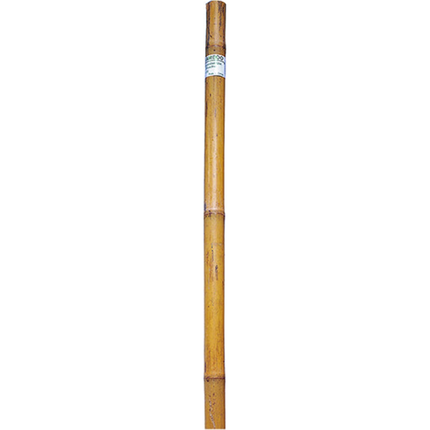5-633330.jpg