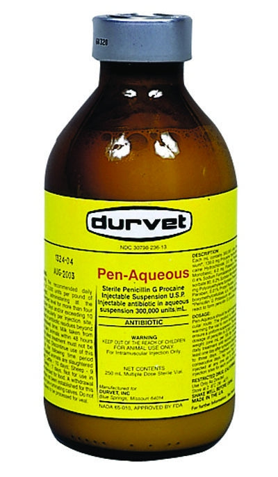 Durvet Pen-Aqueous G Procain