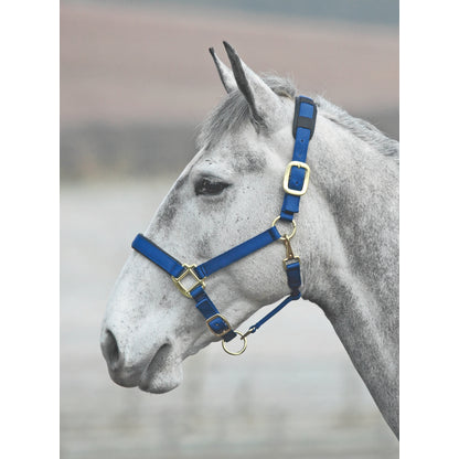 Shires Topaz Leather Breakaway Nylon Headcollar