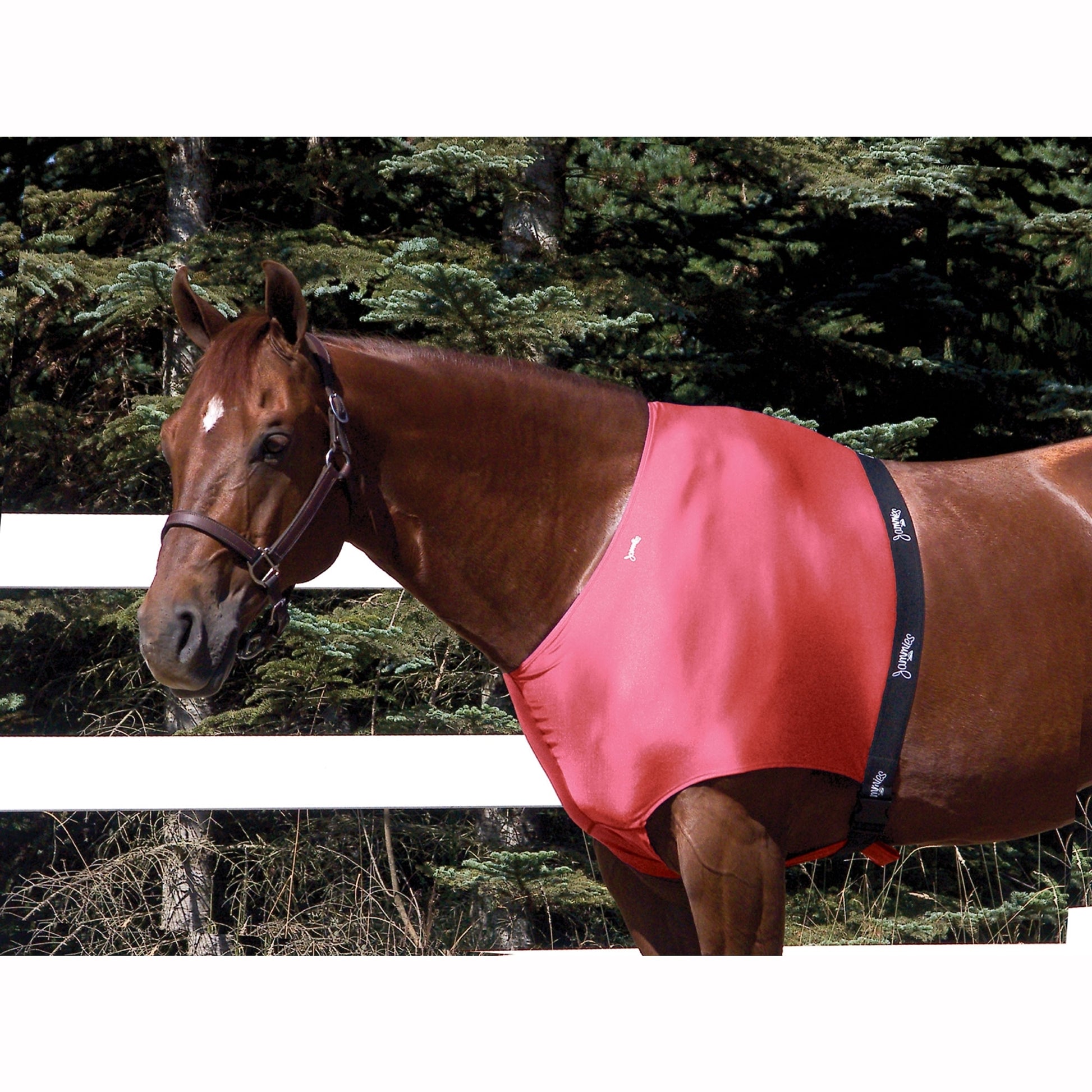 Jammies Designer Shoulder Guard