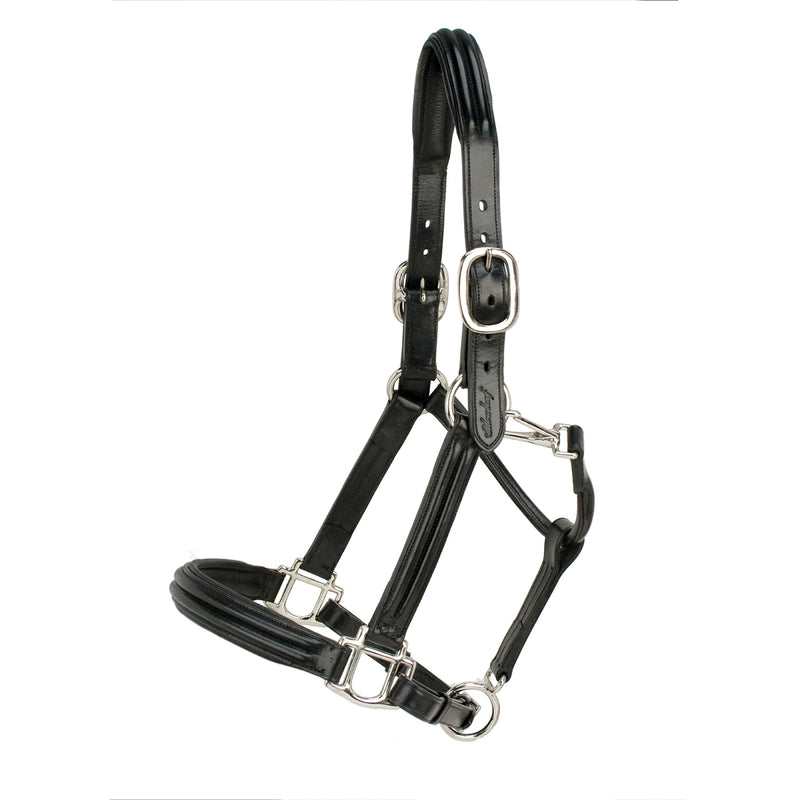Toklat Silverleaf Double Raised Padded Halter with Nickel