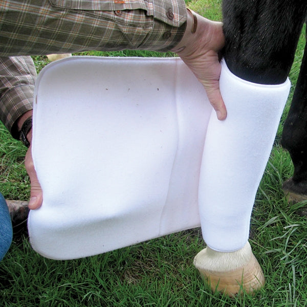 Cashel No Bow Bandage