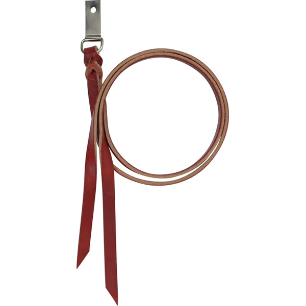 Cashel Latigo D String Clip Assembly
