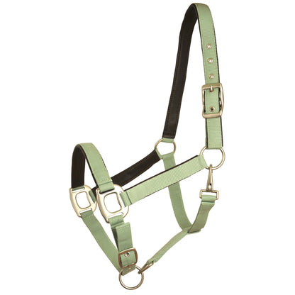 Gatsby Leather Padded Adjustable Nylon Halter