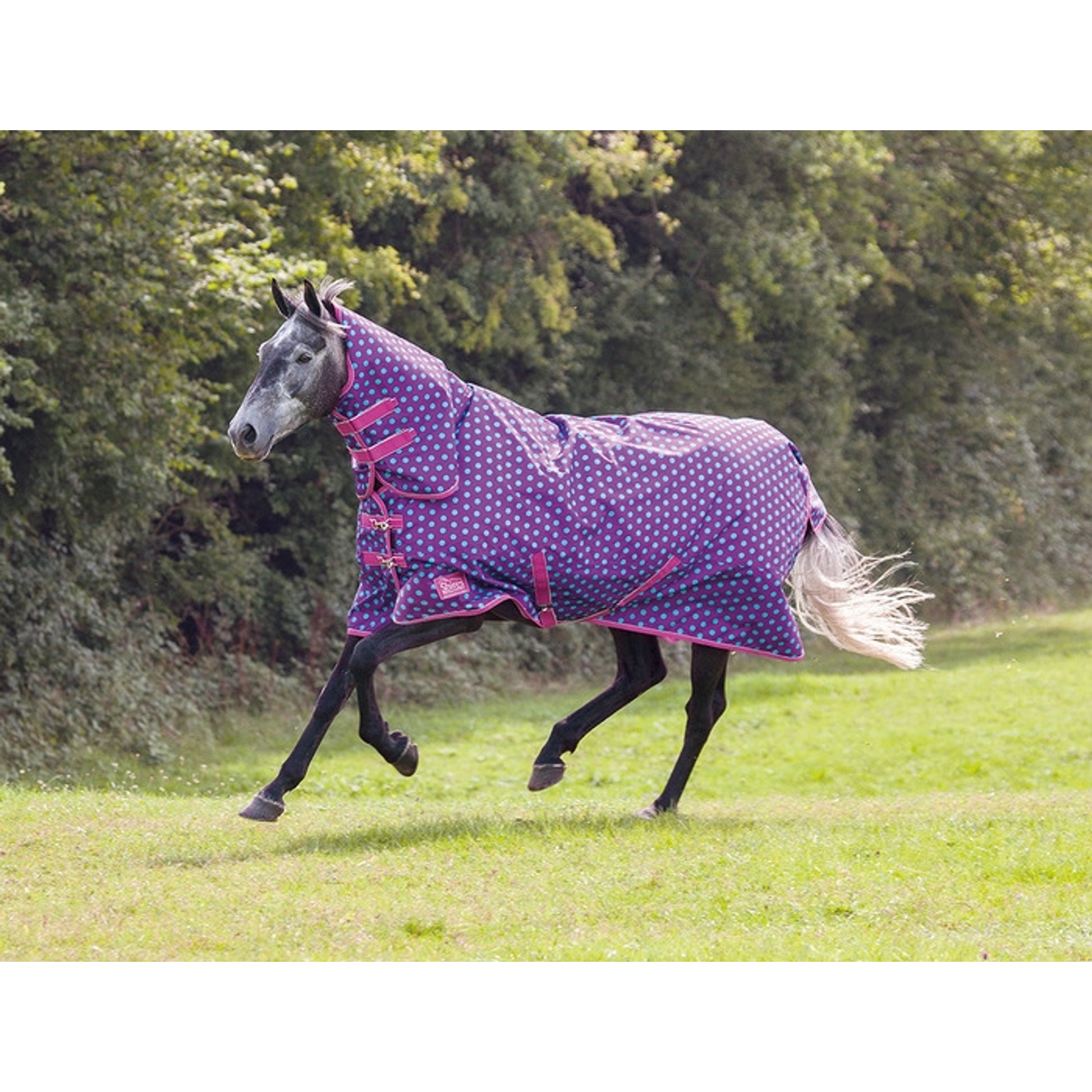Shires Tempest 600D Turnout Blanket - 200g