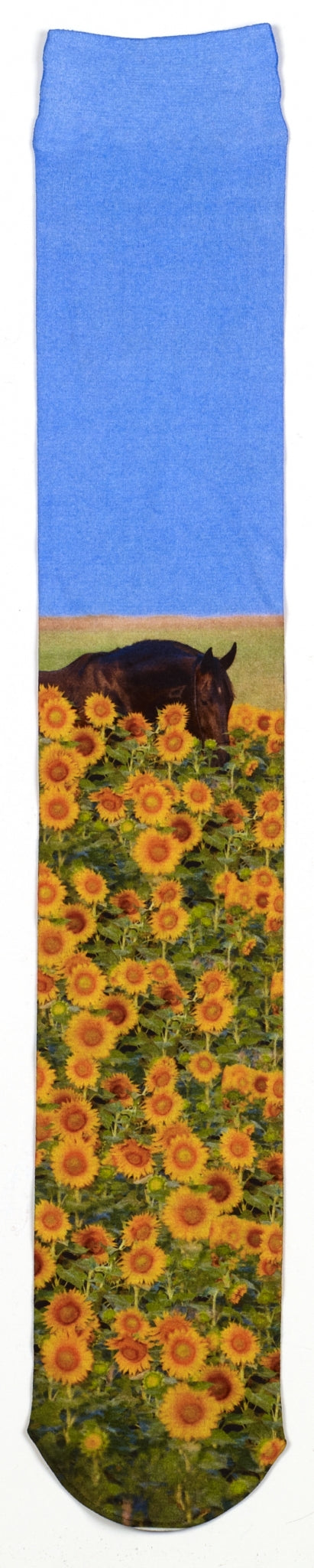 5-651159-sunflowerhorse.jpg