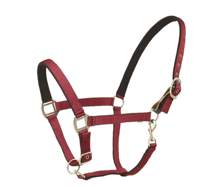 Centaur Solid Cushion Padded Breakaway Halter