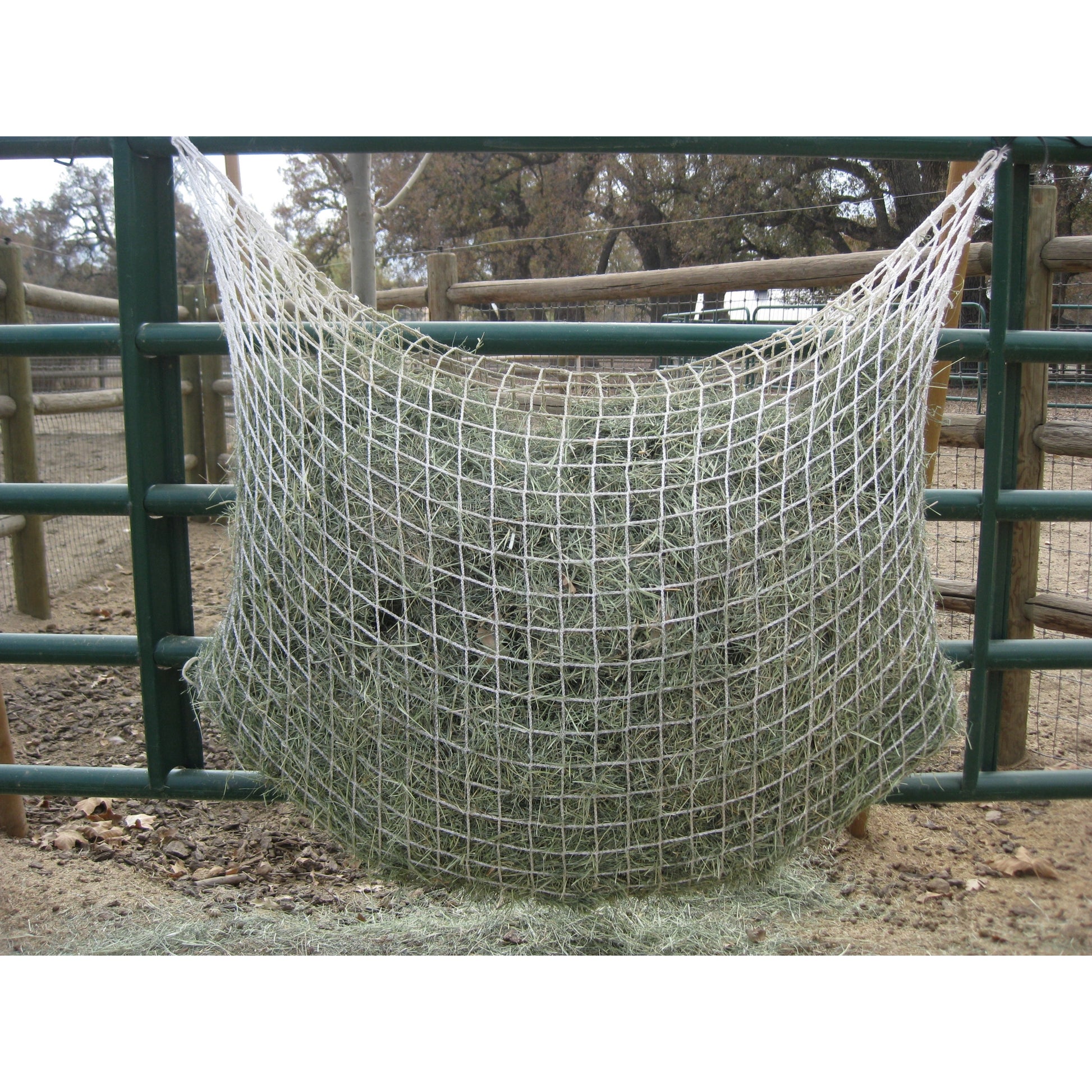 Freedom Feeder Extended Day Feeding Net/2 String Bale