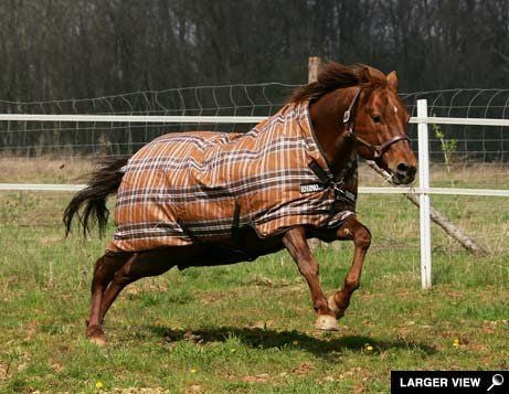 Rhino Wug Medium Weight Turnout