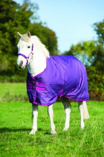 Amigo Foal Turnout Blanket