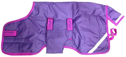 Amigo Foal Turnout Blanket