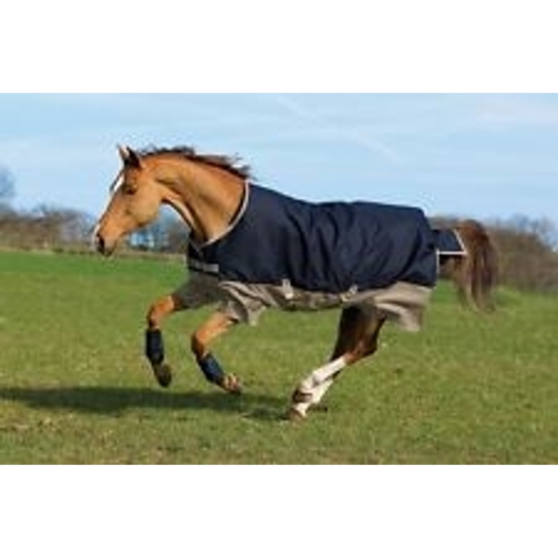 Horseware Mio Turnout Blanket - 200g
